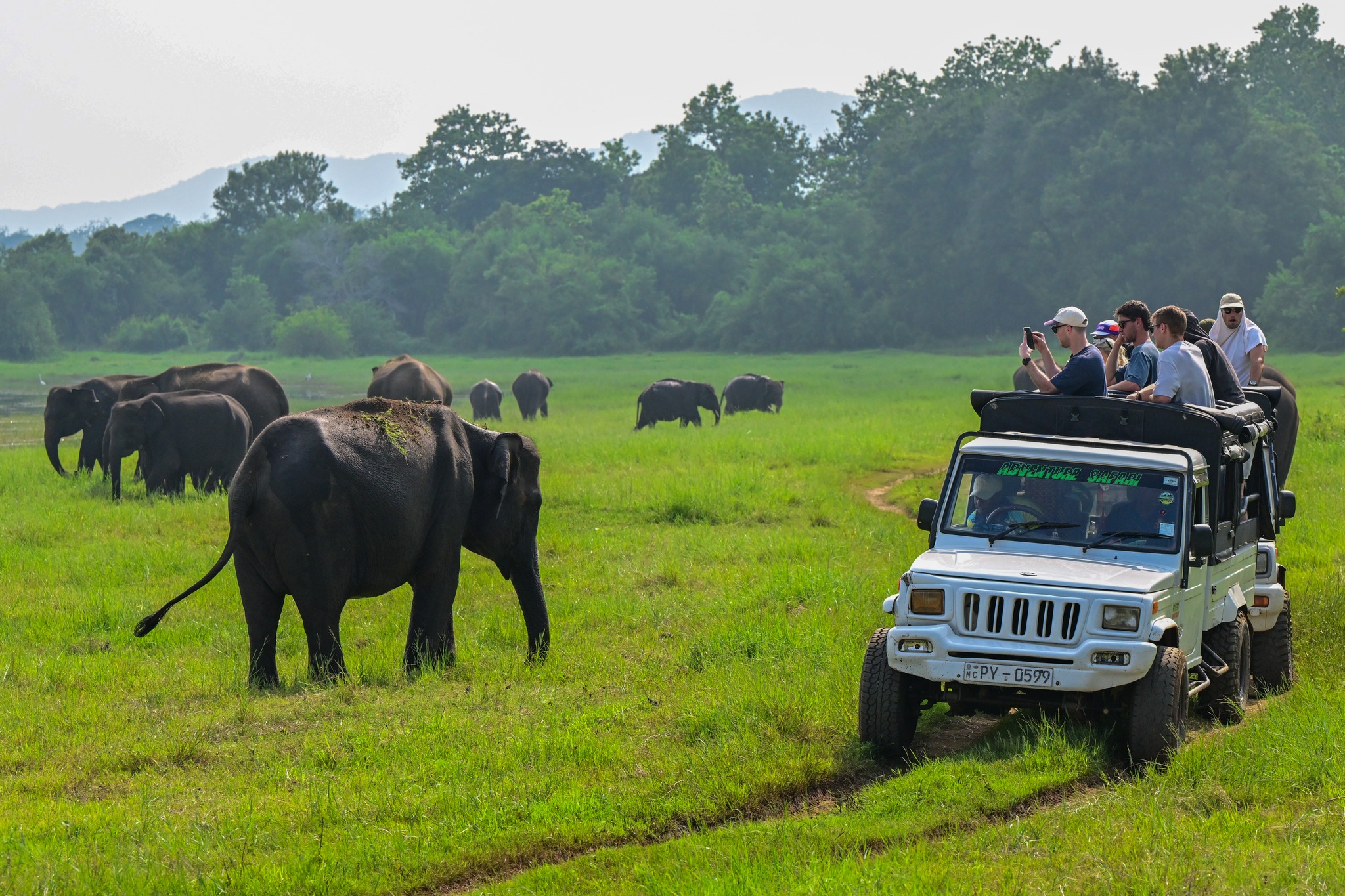 Sri Lanka Wildlife Tours — Sri Lanka